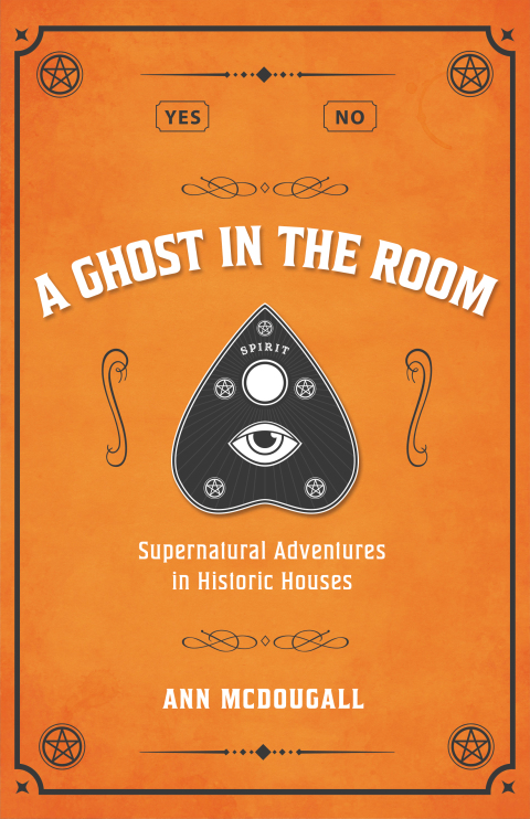 Cover image for book A Ghost in the Room