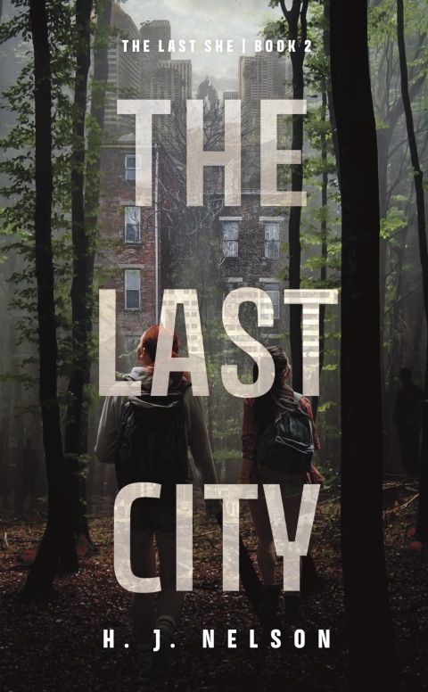 Cover image for book The Last City