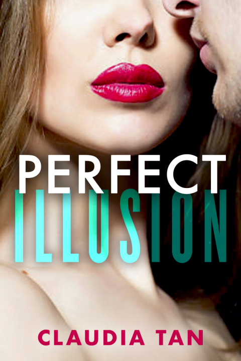 Cover image for book Perfect Illusion