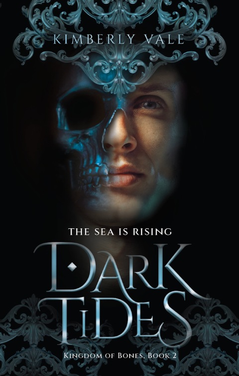 Cover image for book Dark Tides