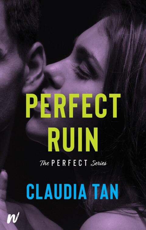 Cover image for book Perfect Ruin