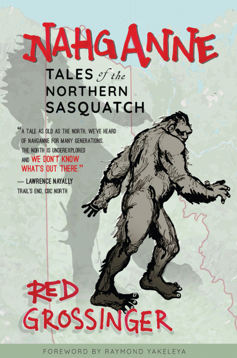 Cover image for book Nahganne