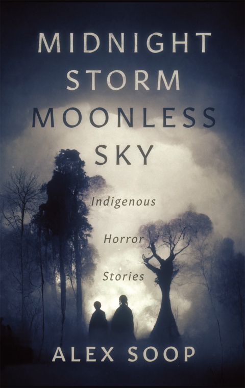 Cover image for book Midnight Storm Moonless Sky