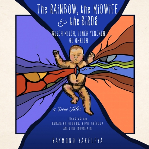Cover image for book The Rainbow, the Midwife & The Birds
