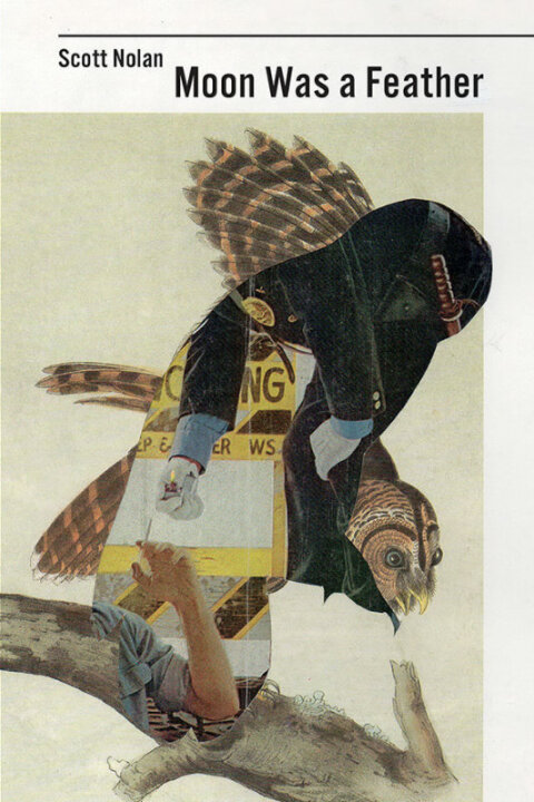 Cover image for book Moon Was a Feather