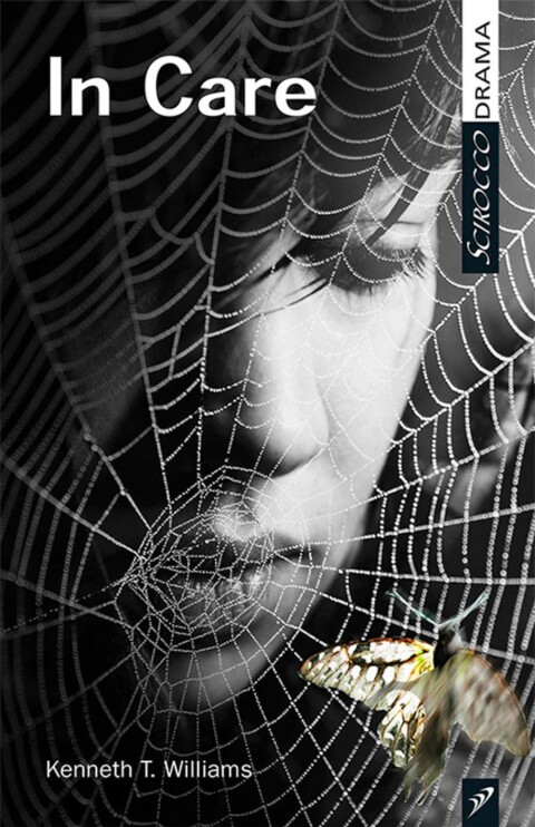 Cover image for book In Care