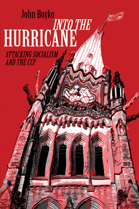 Cover image for book Into the Hurricane