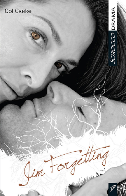 Cover image for book Jim Forgetting