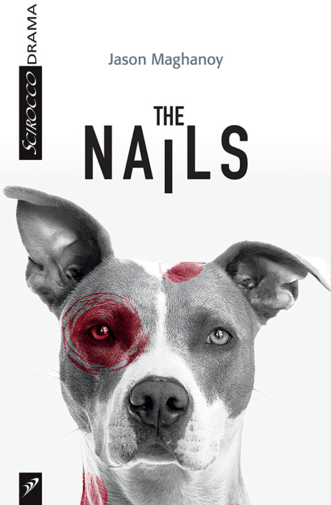 Cover image for book The Nails