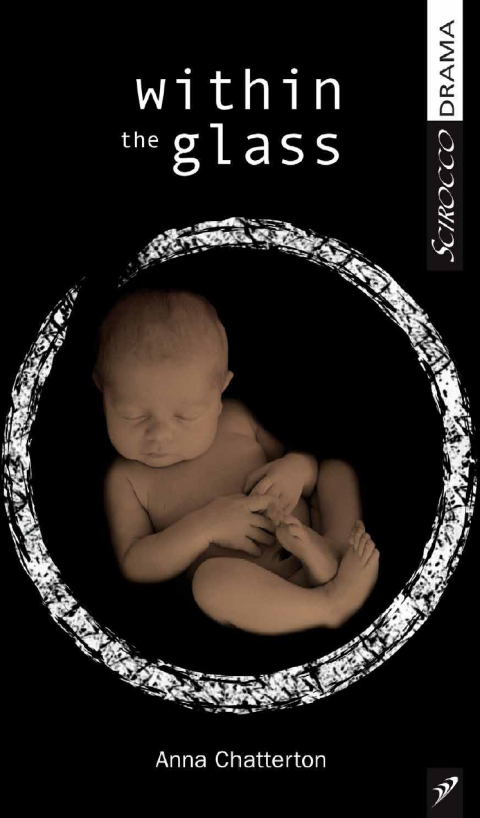 Cover image for book Within the Glass