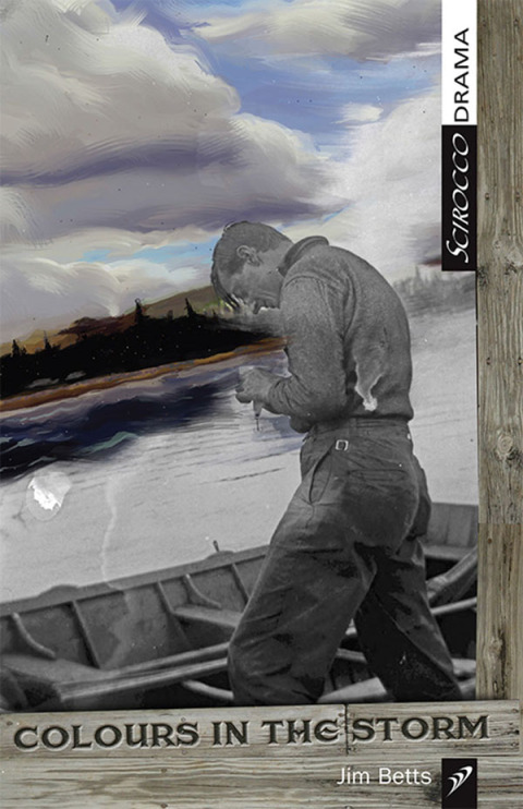 Cover image for book Colours In The Storm