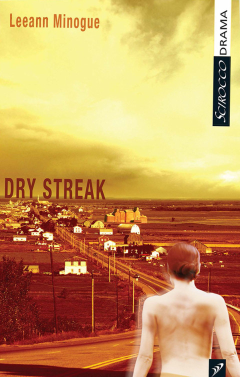 Cover image for book Dry Streak