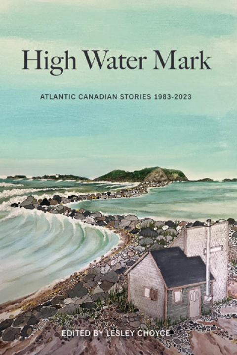 Cover image for book High Water Mark