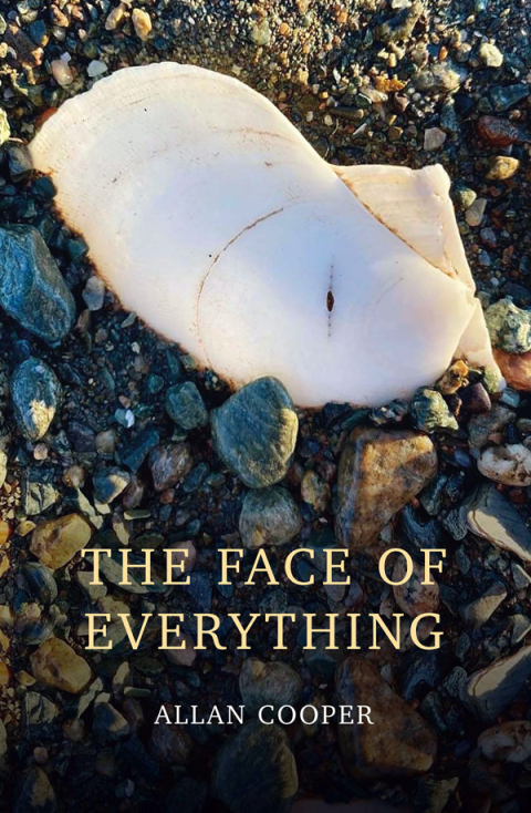 Cover image for book The Face of Everything