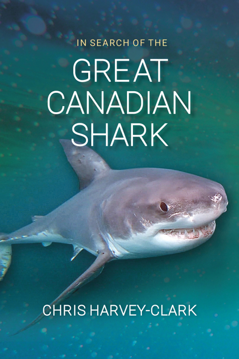 Cover image for book In Search of the Great Canadian Shark