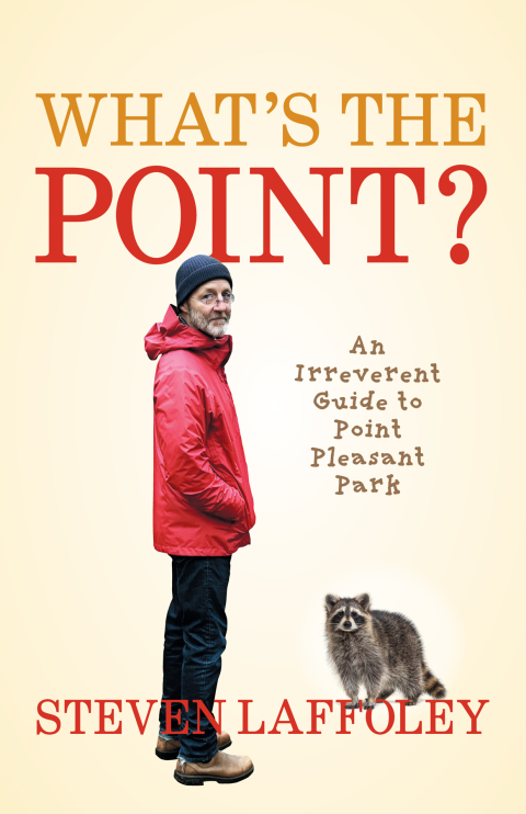 Cover image for book What’s the Point?