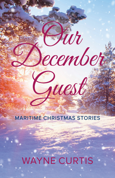 Cover image for book Our December Guest