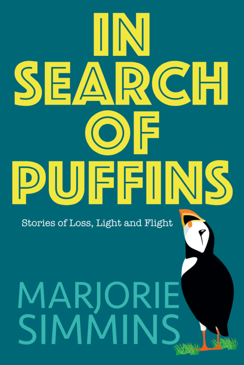 Cover image for book In Search of Puffins