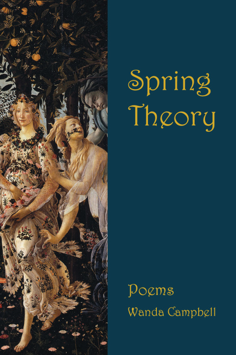 Cover image for book Spring Theory