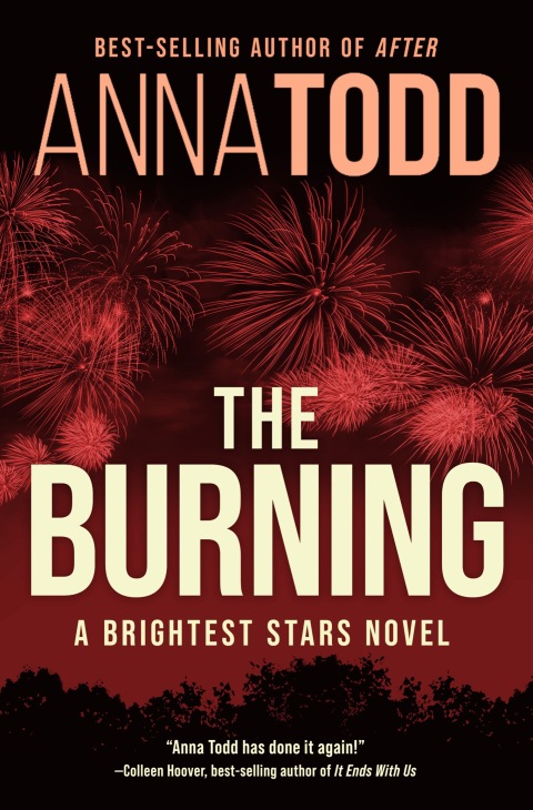 Cover image for book The Burning