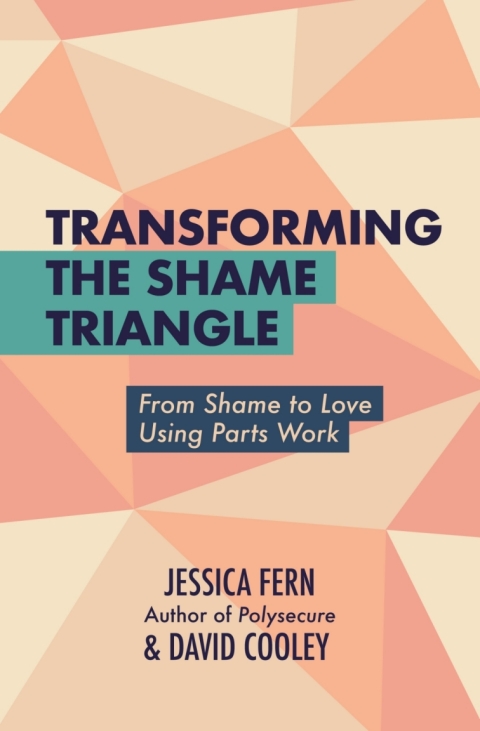 Cover image for book Transforming the Shame Triangle