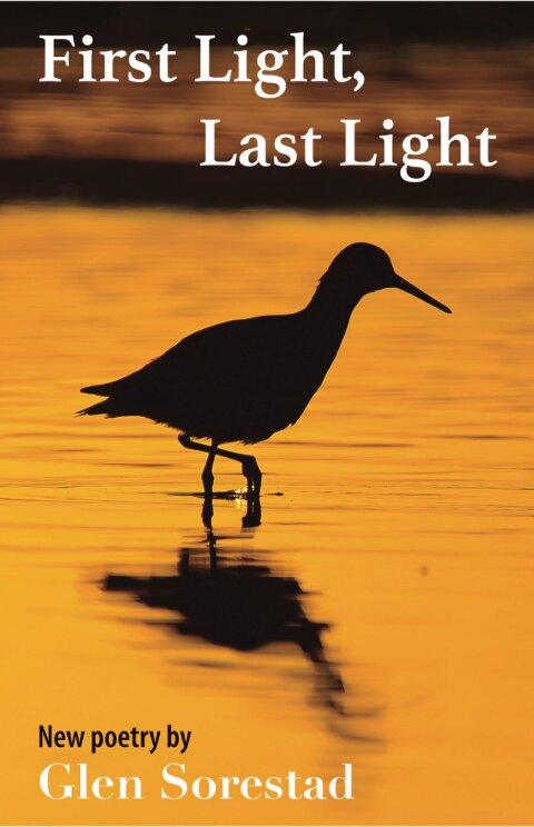Cover image for book First Light, Last Light
