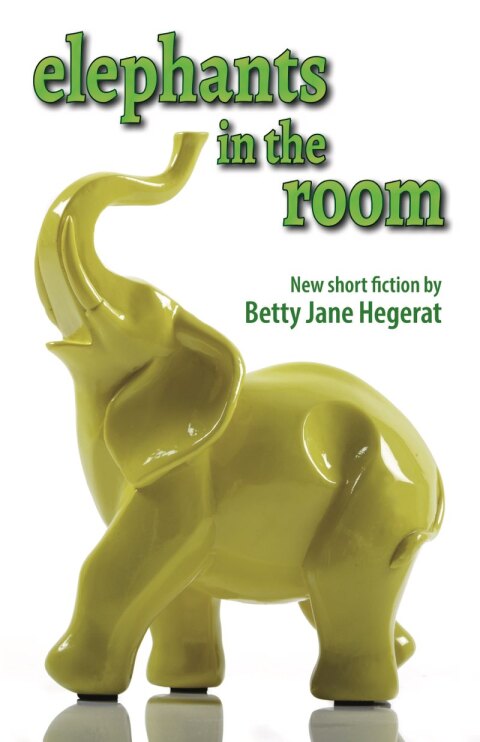 Cover image for book Elephants in the Room