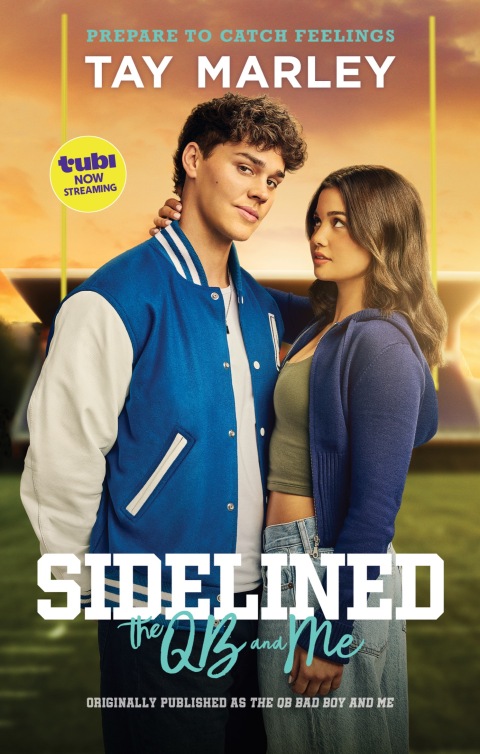 Cover image for book Sidelined