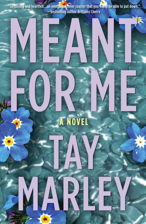 Cover image for book Meant for Me