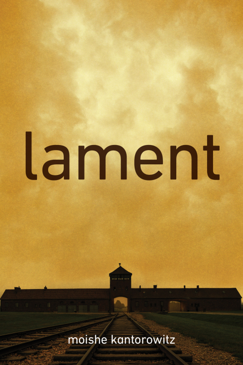 Cover image for book Lament