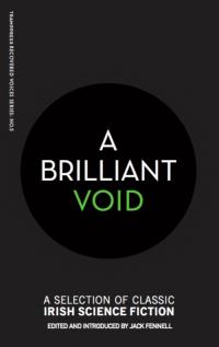 Cover image: A Brilliant Void 9781999700850