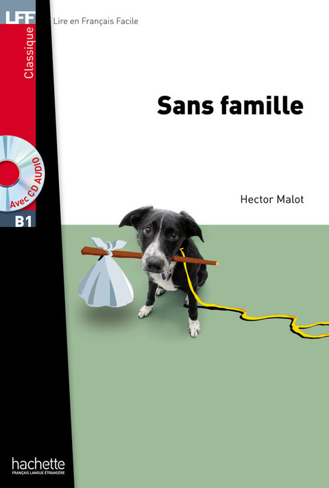 Cover image for book LFF B1 - Sans famille (ebook)