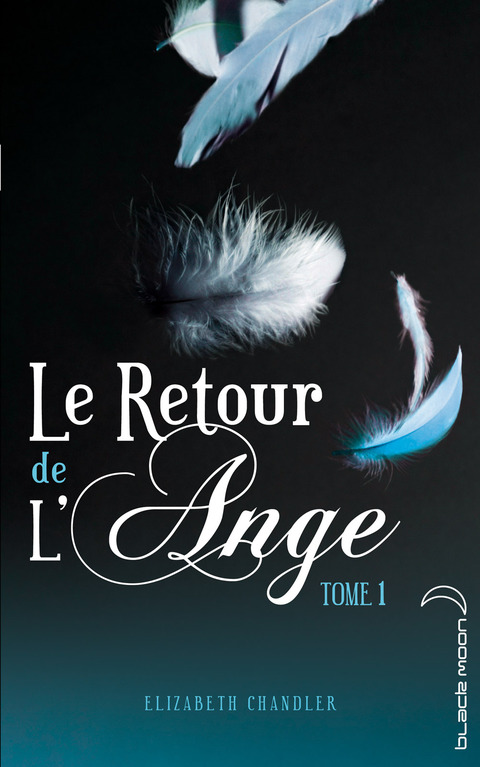 Cover image for book Le Retour de l'ange 1