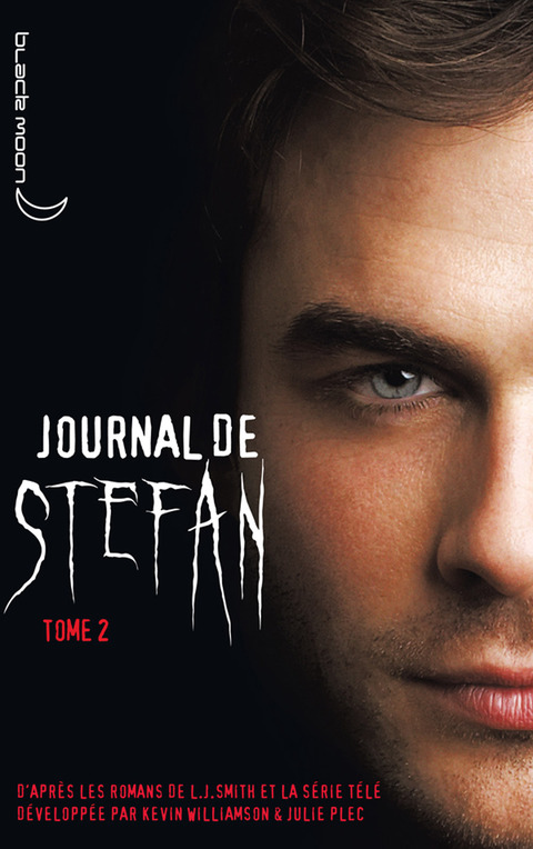 Cover image for book Journal de Stefan 2