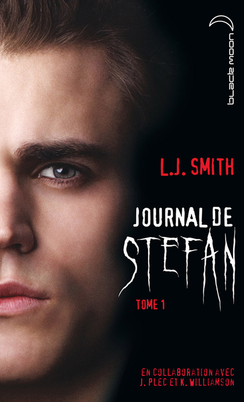 Cover image for book Journal de Stefan 1