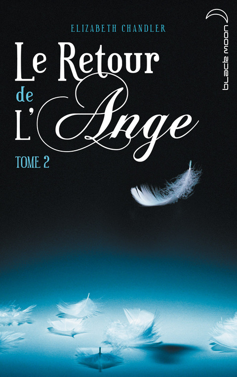 Cover image for book Le Retour de l'ange 2