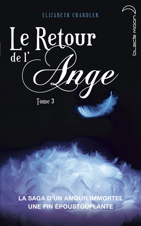 Cover image for book Le Retour de l'ange 3