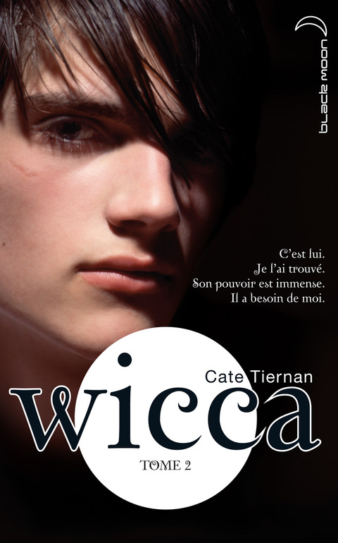 Cover image for book Wicca 2