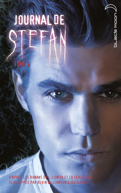 Cover image for book Journal de Stefan 4