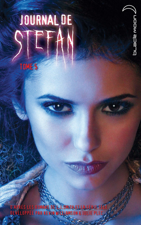 Cover image for book Journal de Stefan 5
