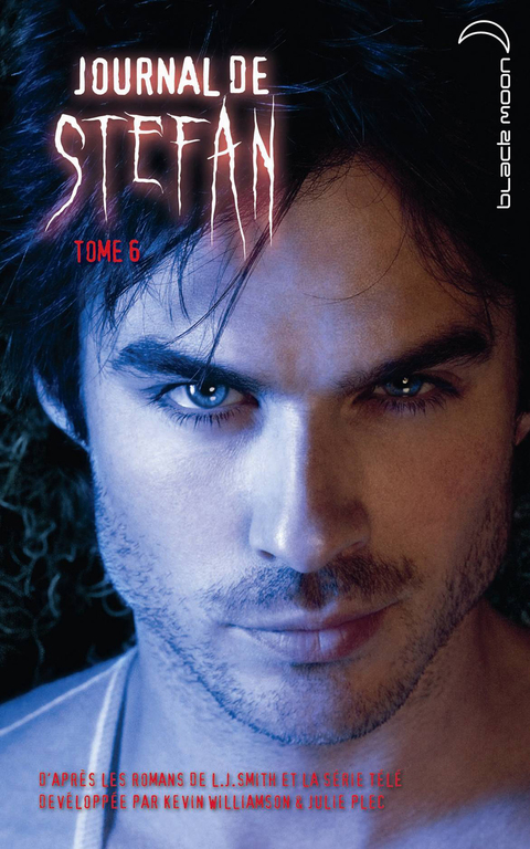 Cover image for book Journal de Stefan 6