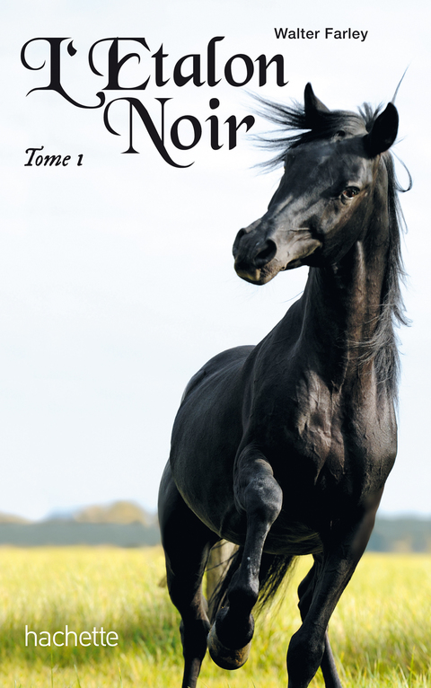 Cover image for book L'étalon noir 1 - L'étalon noir