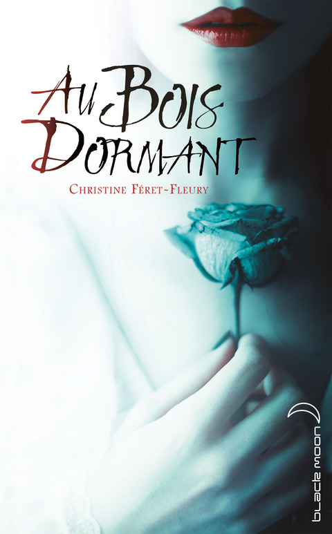 Cover image for book Au bois dormant