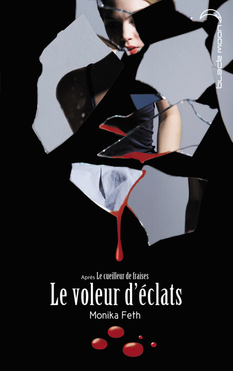 Cover image for book Le voleur d'éclats