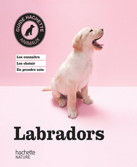Cover image for book Labradors