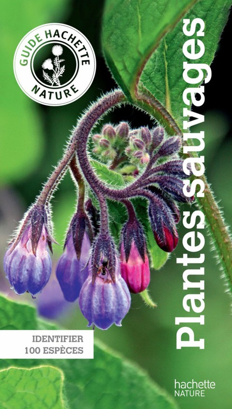 Cover image for book Le guide Hachette Nature des Plantes Sauvages