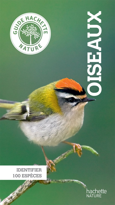 Cover image for book Le petit guide Hachette des oiseaux