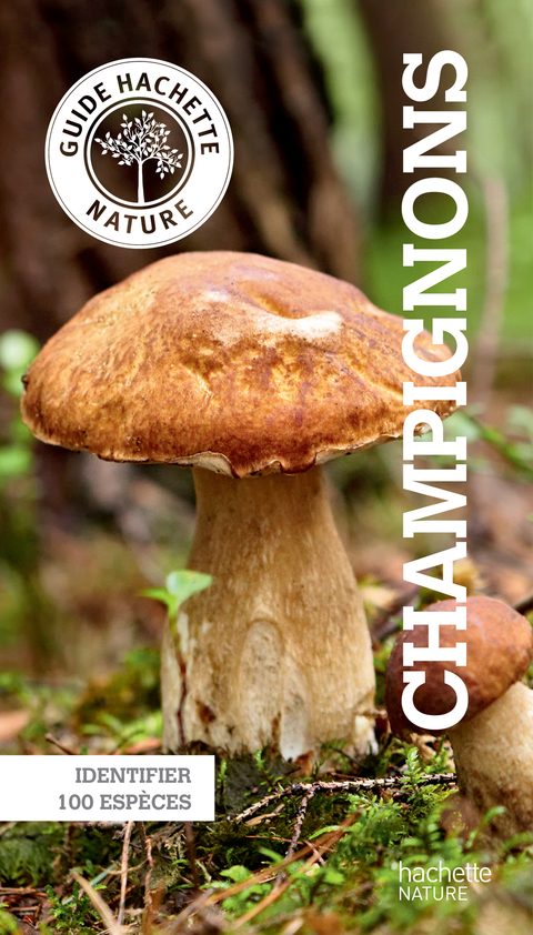 Cover image for book Le petit guide Hachette des champignons