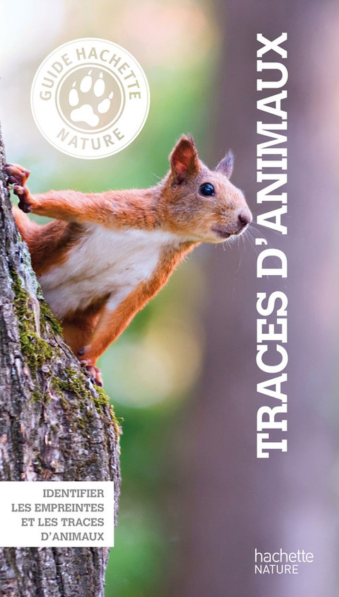 Cover image for book Guide Hachette Nature Traces animaux