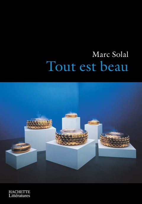 Cover image for book Tout est beau